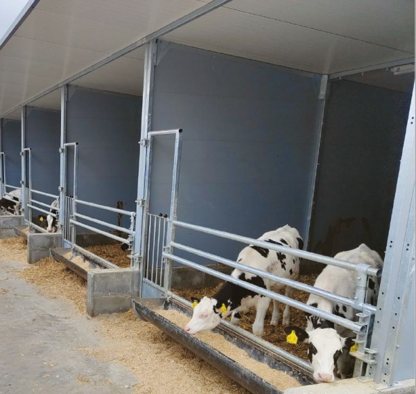 Topcalf Gruppenbox